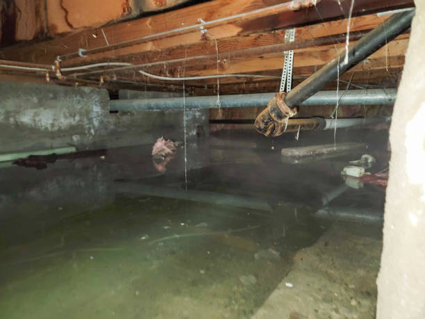 Best 24/7 water damage repair  in Libby, MT