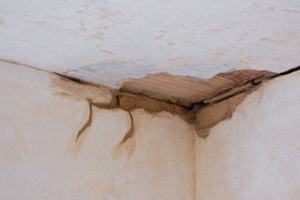 Best Basement water damage restoration  in Libby, MT
