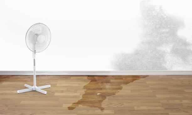Best 24-hour water damage restoration  in Libby, MT