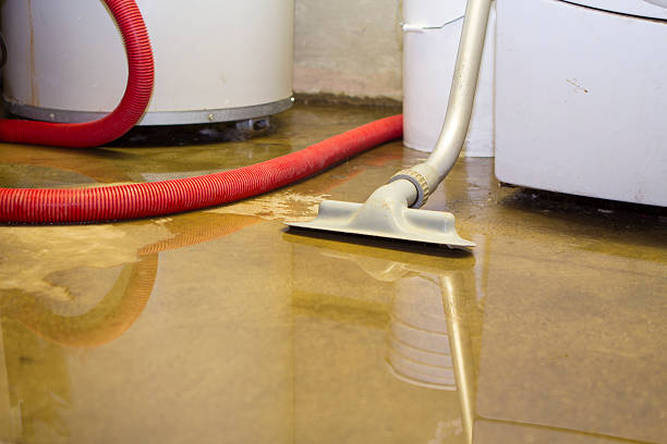 Best Water damage cleanup near me  in Libby, MT