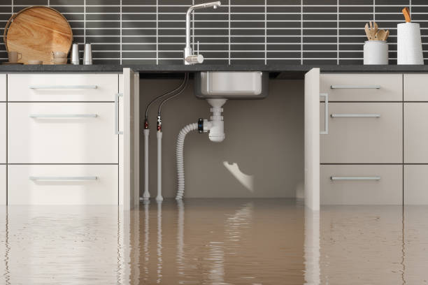 Best Mold removal after water damage  in Libby, MT